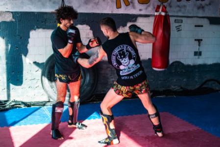 MMA Stand Up